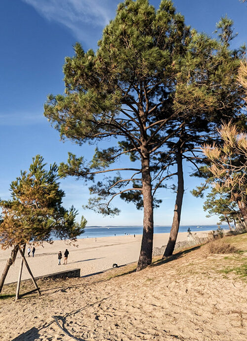 archik-immobilier-city-guide-quartier-arcachon-centre-4