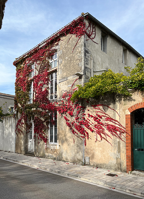 MASQUE QUARTIER 4 - ILE DE RÉ