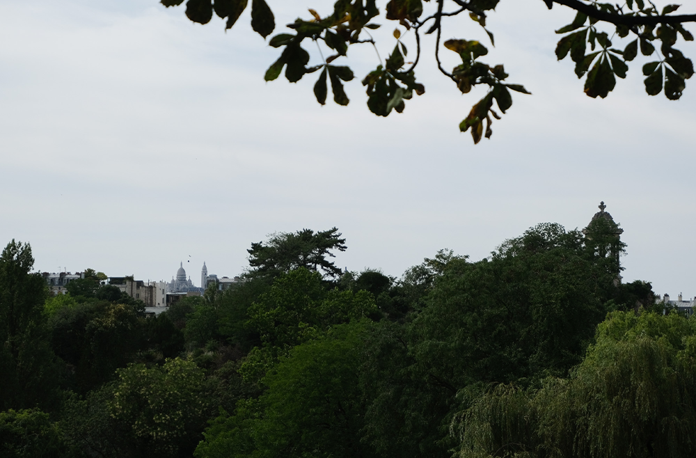 MASQUE QUARTIERS 5 - BUTTES CHAUMONT