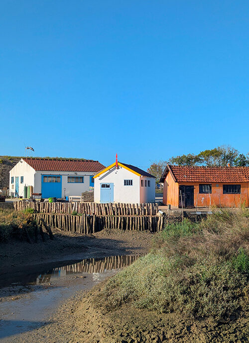 archik-immobilier-royan-cityguide-oleron-photo-4