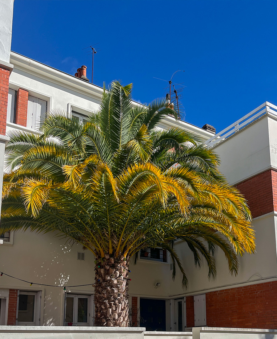 archik-immobilier-marseille-cityguide-barrieredepessac-photo-2