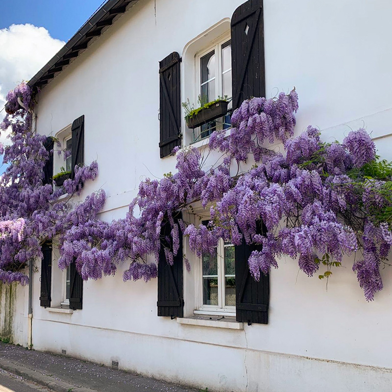 archik-immobilier-paris-cityguide-verrieres-photo-1