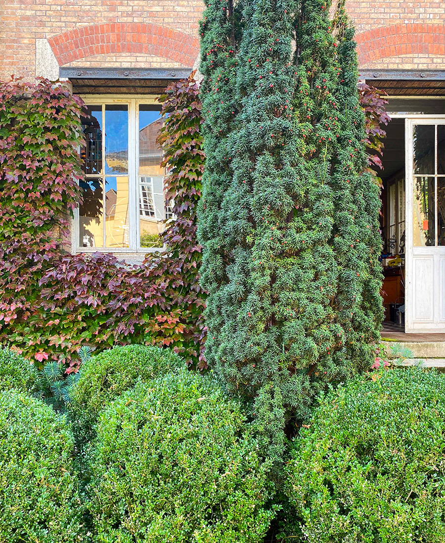 archik-immobilier-paris-cityguide-verriere-photo-2