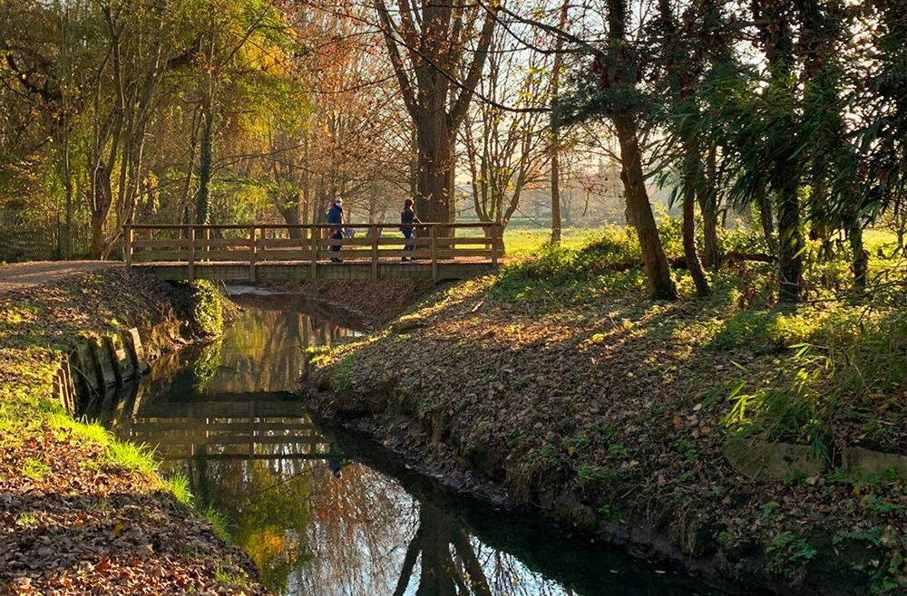 archik-immobilier-paris-cityguide-verriere-photo-5 archik-immobilier-paris-cityguide-verriere-photo-5
