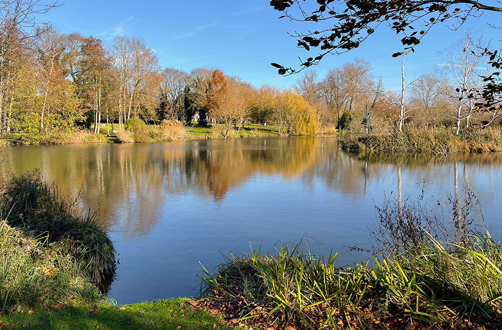 archik-immobilier-royan-cityguide-vauxenmer-photo-5 archik-immobilier-royan-cityguide-vauxenmer-photo-5