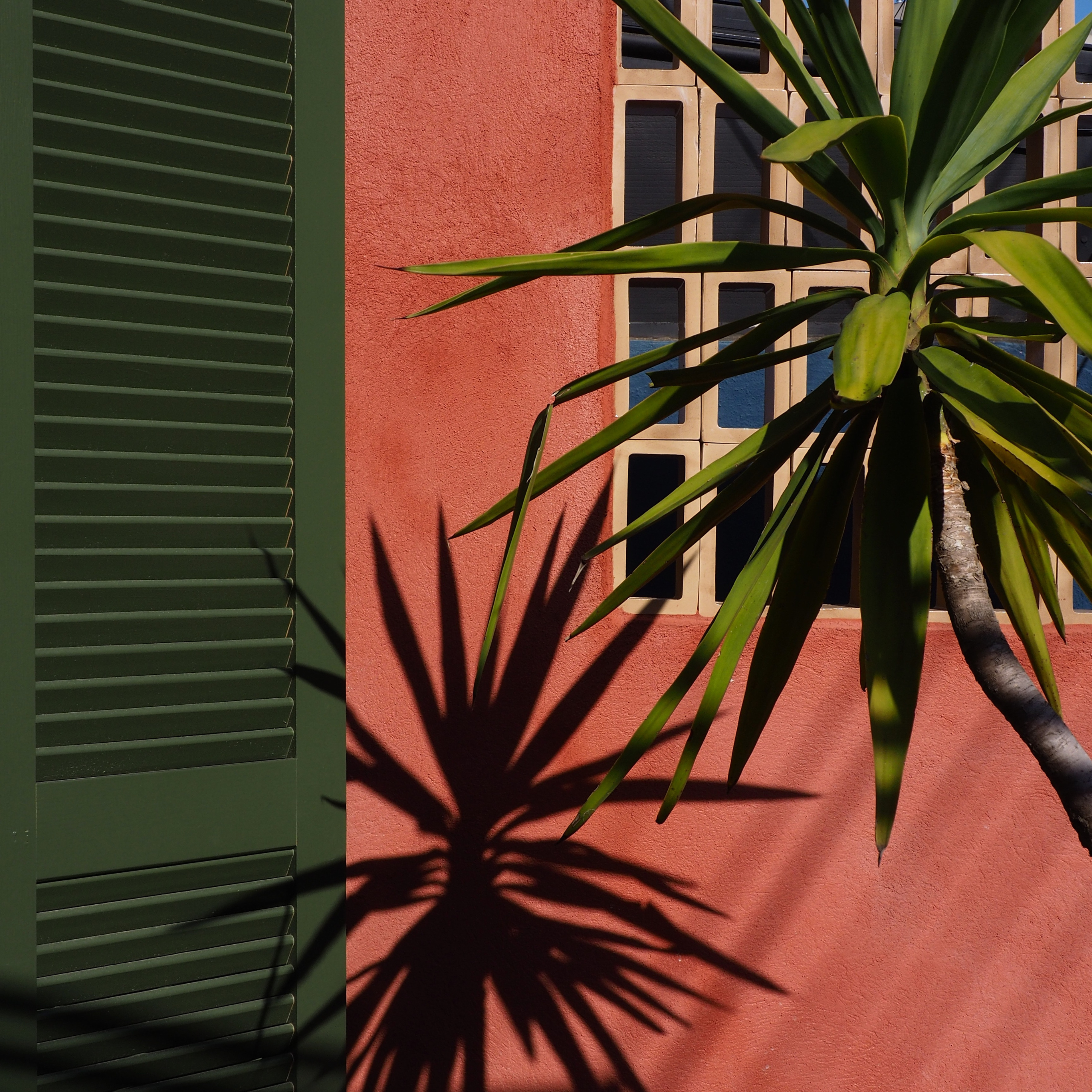 archik&vous-photos-site-barbuscia14