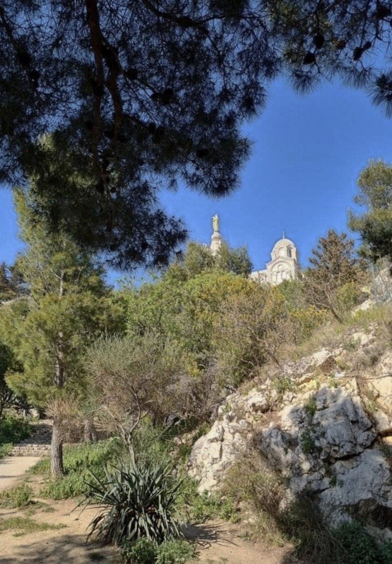 archik&vous-photos-site-barbuscia25