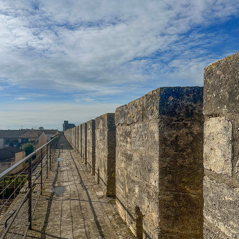 archik-immobilier-marseille-city-guide-provence-camargues1
