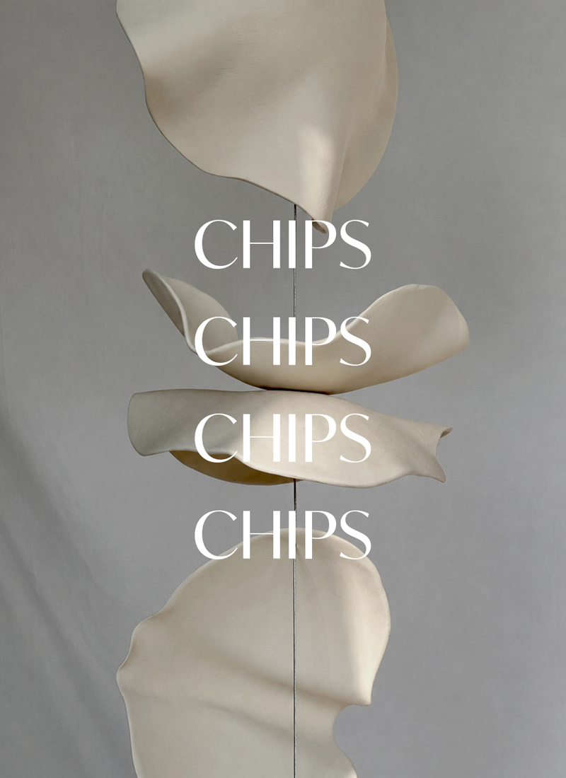 ÉVÈNEMENTS - PORTRAIT-CHIPS